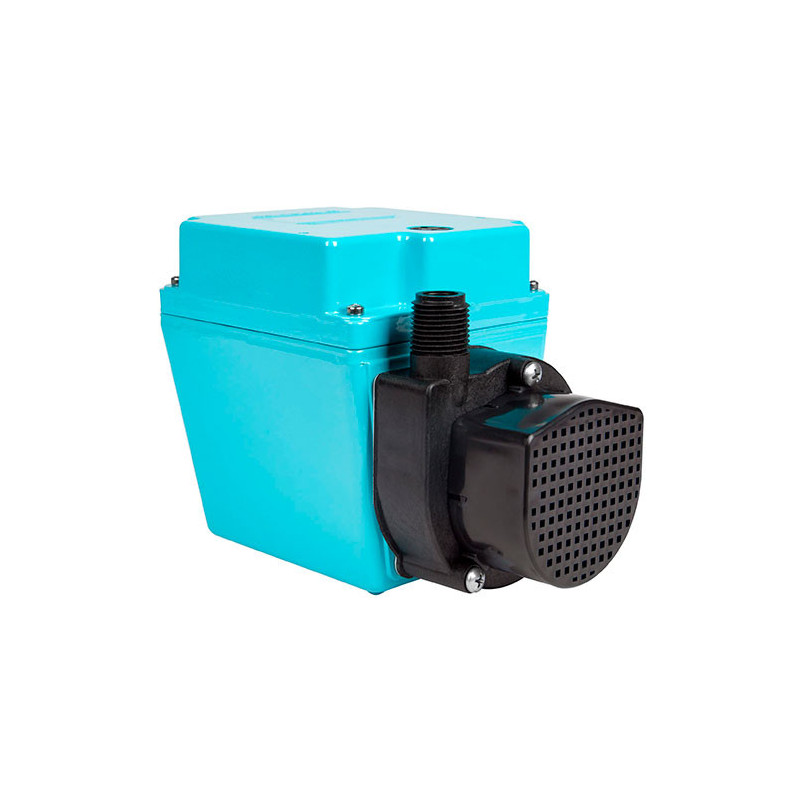 Litte Giant 3E12N - 17.3´Máxima