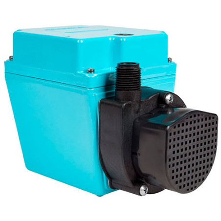 Litte Giant 3E12N - 17.3´Máxima